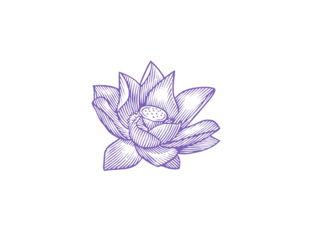 lotus art